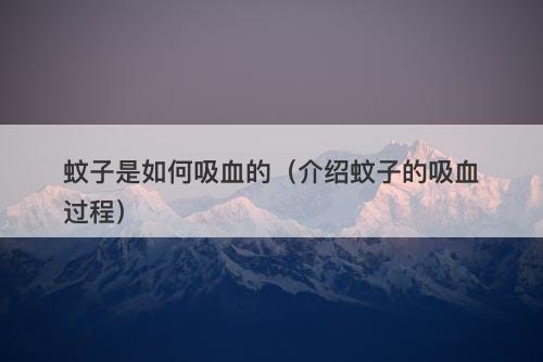 蚊子是如何吸血的（介绍蚊子的吸血过程）-图1