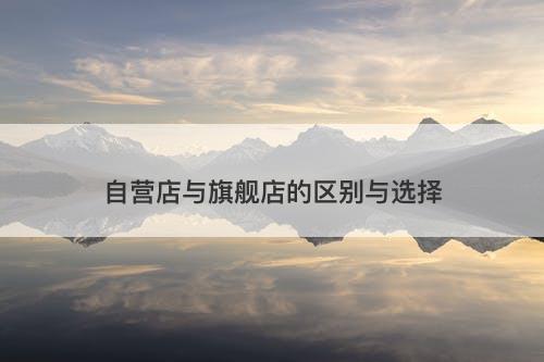 自营店与旗舰店的区别与选择-图1 自营店与旗舰店的区别与选择-图1