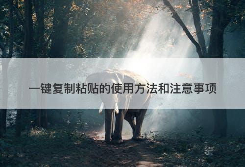 一键复制粘贴的使用方法和注意事项