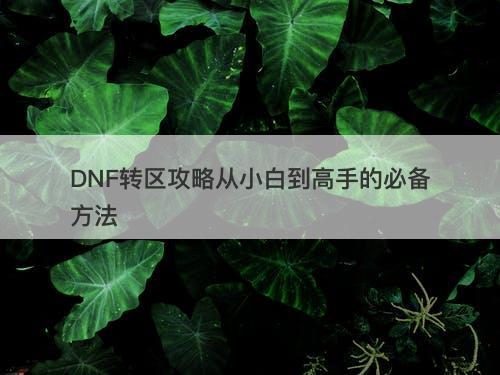 DNF转区攻略从小白到高手的必备方法