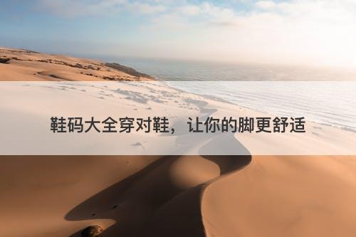 鞋码大全穿对鞋，让你的脚更舒适