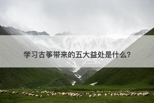 学习古筝带来的五大益处是什么？