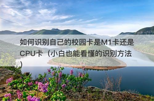 如何识别自己的校园卡是M1卡还是CPU卡（小白也能看懂的识别方法）-图1