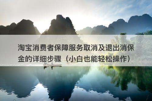 淘宝消费者保障服务取消及退出消保金的详细步骤（小白也能轻松操作）