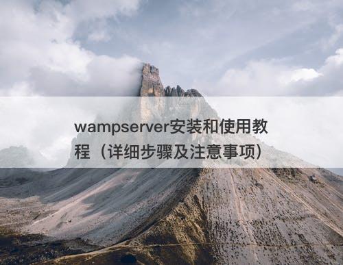 wampserver安装和使用教程（详细步骤及注意事项）-图1
