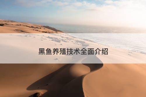 黑鱼养殖技术全面介绍