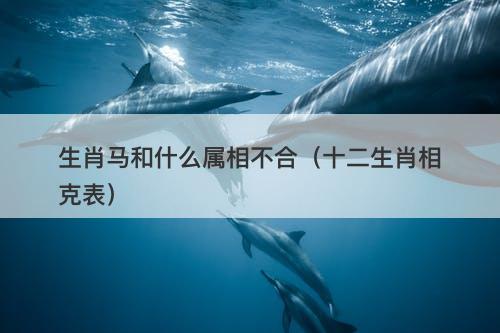 生肖马和什么属相不合（十二生肖相克表）