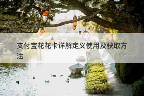支付宝花花卡详解定义使用及获取方法