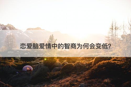 恋爱脑爱情中的智商为何会变低？