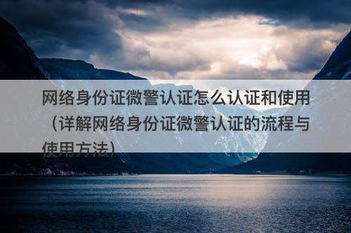 网络身份证微警认证怎么认证和使用（详解网络身份证微警认证的流程与使用方法）