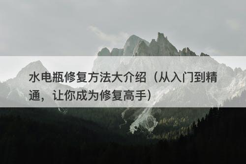 水电瓶修复方法大介绍（从入门到精通，让你成为修复高手）