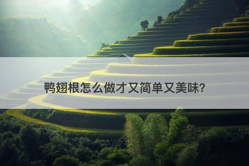 鸭翅根怎么做才又简单又美味？