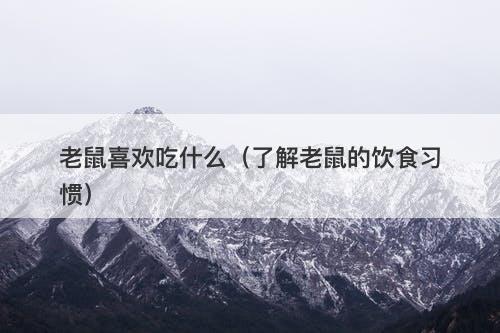 老鼠喜欢吃什么（了解老鼠的饮食习惯）