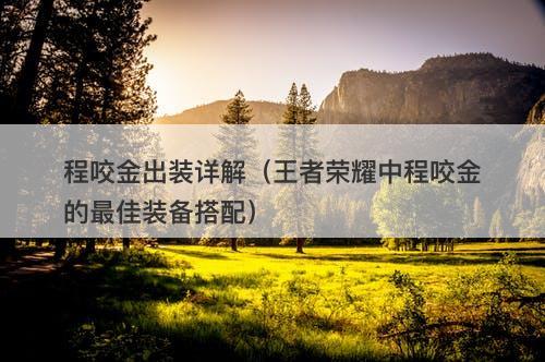 程咬金出装详解（王者荣耀中程咬金的最佳装备搭配）