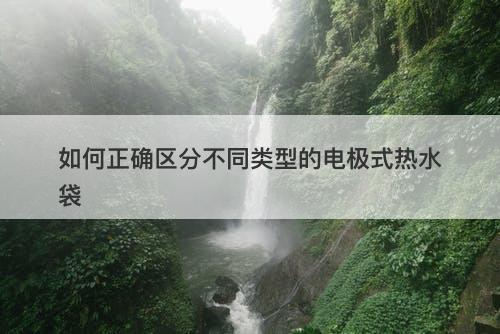 如何正确区分不同类型的电极式热水袋