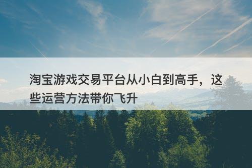 淘宝游戏交易平台从小白到高手，这些运营方法带你飞升-图1