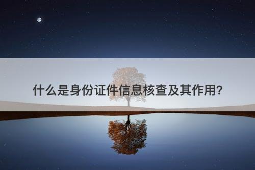 什么是身份证件信息核查及其作用？