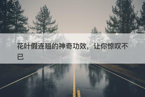 花叶假连翘的神奇功效，让你惊叹不已