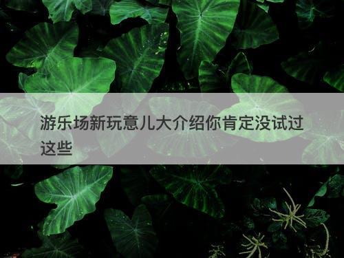 游乐场新玩意儿大介绍你肯定没试过这些
