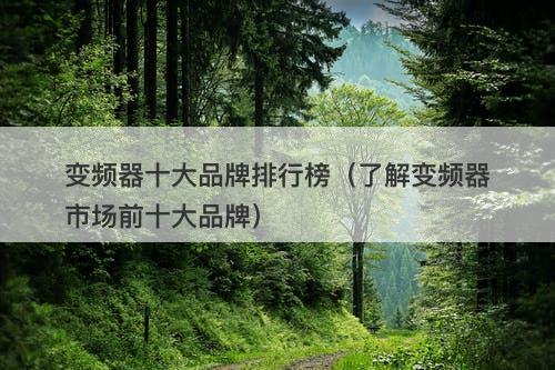变频器十大品牌排行榜（了解变频器市场前十大品牌）