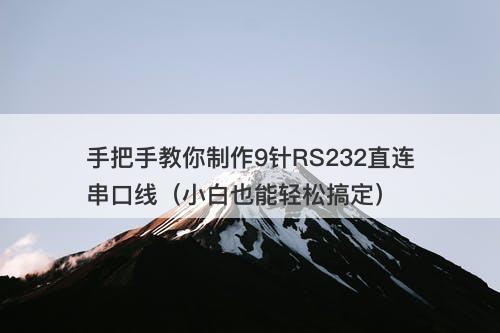 手把手教你制作9针RS232直连串口线（小白也能轻松搞定）