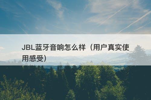 JBL蓝牙音响怎么样（用户真实使用感受）