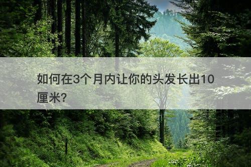 如何在3个月内让你的头发长出10厘米？
