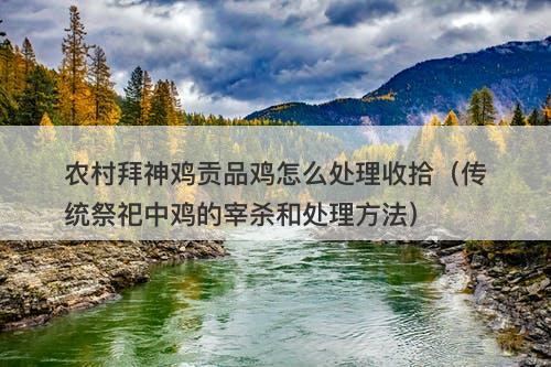 农村拜神鸡贡品鸡怎么处理收拾（传统祭祀中鸡的宰杀和处理方法）-图1