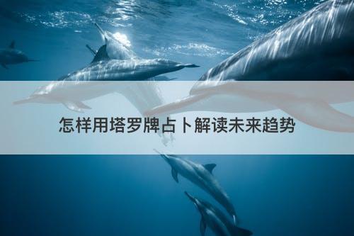 怎样用塔罗牌占卜解读未来趋势