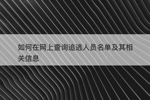 如何在网上查询追逃人员名单及其相关信息