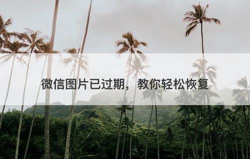 微信图片已过期，教你轻松恢复-图1