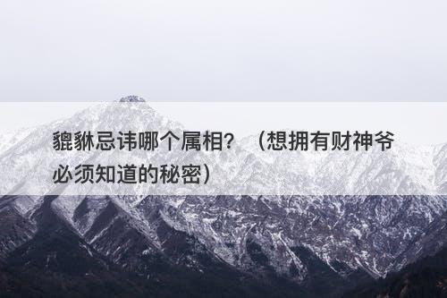 貔貅忌讳哪个属相？（想拥有财神爷必须知道的秘密）