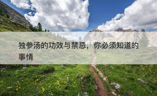 独参汤的功效与禁忌，你必须知道的事情