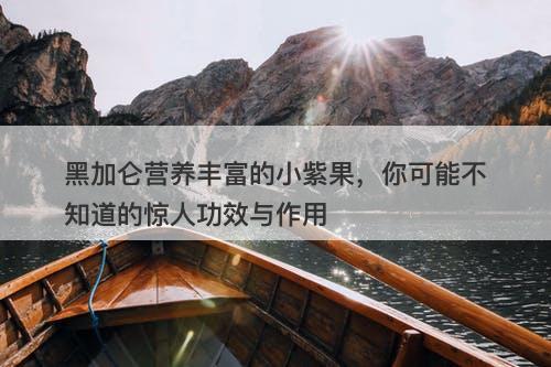 黑加仑营养丰富的小紫果，你可能不知道的惊人功效与作用