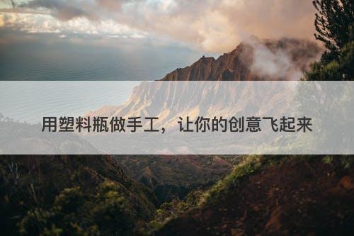 用塑料瓶做手工，让你的创意飞起来