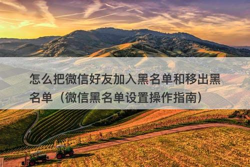 怎么把微信好友加入黑名单和移出黑名单（微信黑名单设置操作指南）