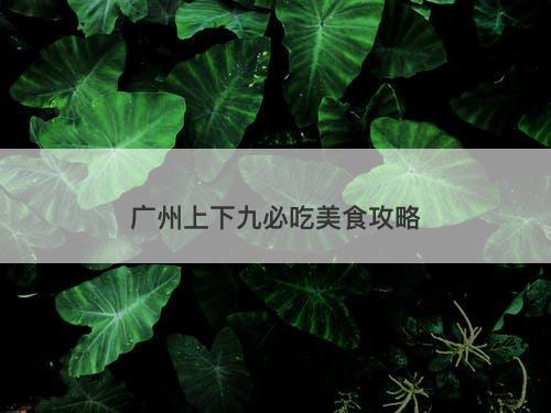 广州上下九必吃美食攻略