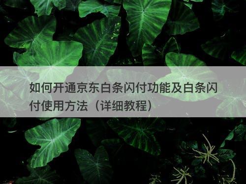 如何开通京东白条闪付功能及白条闪付使用方法（详细教程）