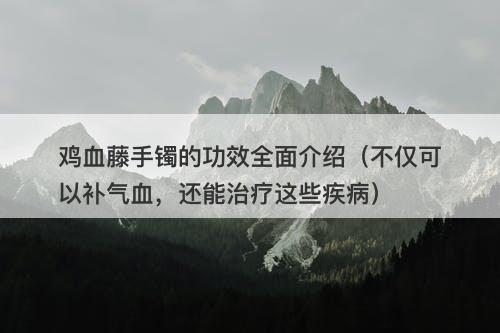 鸡血藤手镯的功效全面介绍（不仅可以补气血，还能治疗这些疾病）
