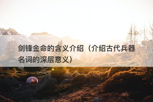剑锋金命的含义介绍（介绍古代兵器名词的深层意义）