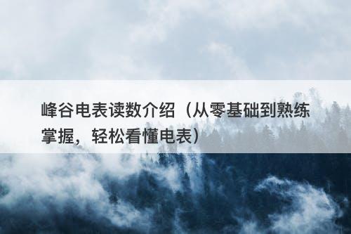 峰谷电表读数介绍（从零基础到熟练掌握，轻松看懂电表）-图1
