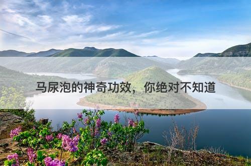 马尿泡的神奇功效，你绝对不知道