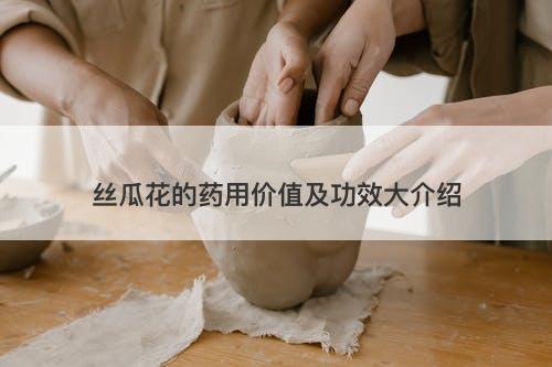 丝瓜花的药用价值及功效大介绍