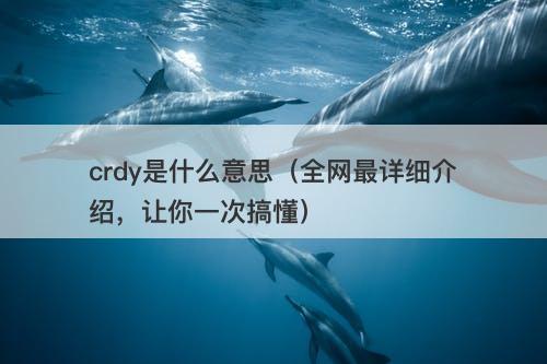 crdy是什么意思（全网最详细介绍，让你一次搞懂）