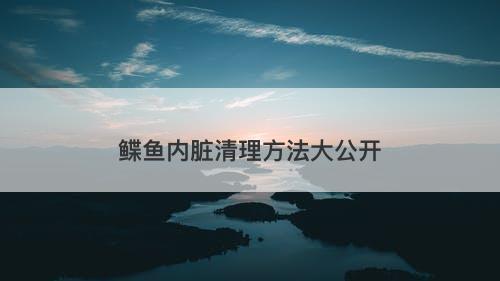 鲽鱼内脏清理方法大公开
