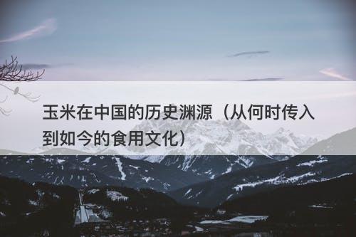 玉米在中国的历史渊源（从何时传入到如今的食用文化）