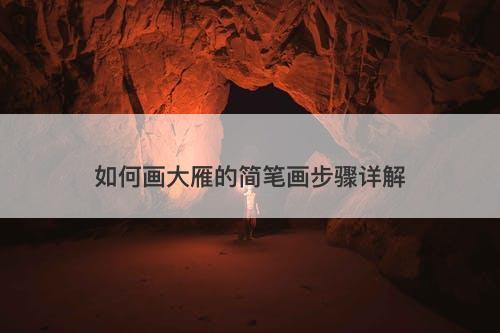 如何画大雁的简笔画步骤详解