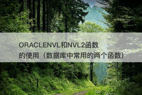 ORACLENVL和NVL2函数的使用（数据库中常用的两个函数）