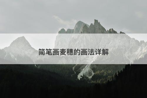 简笔画麦穗的画法详解