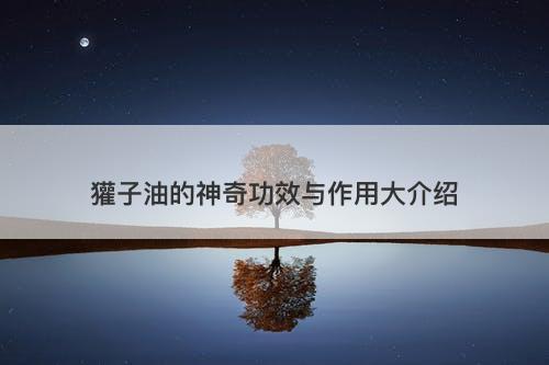 獾子油的神奇功效与作用大介绍